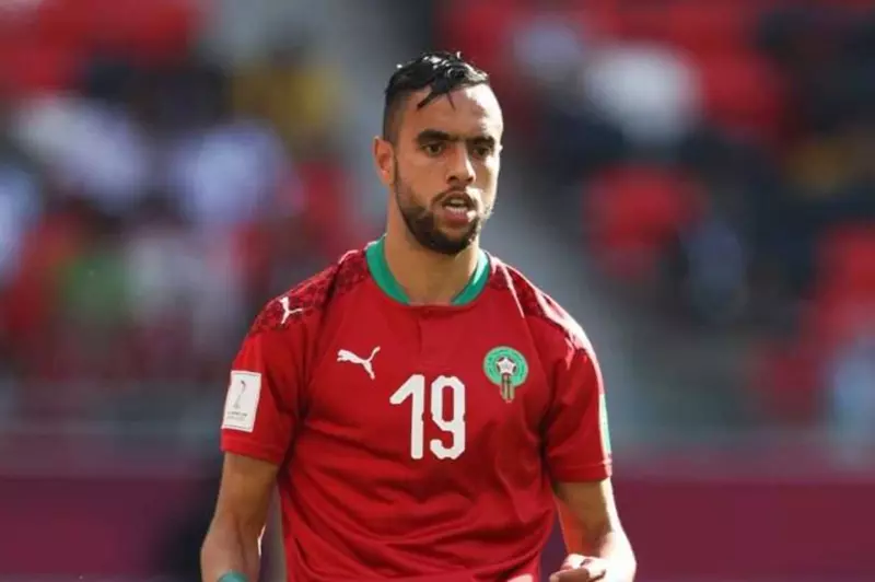 محمد الشيبي